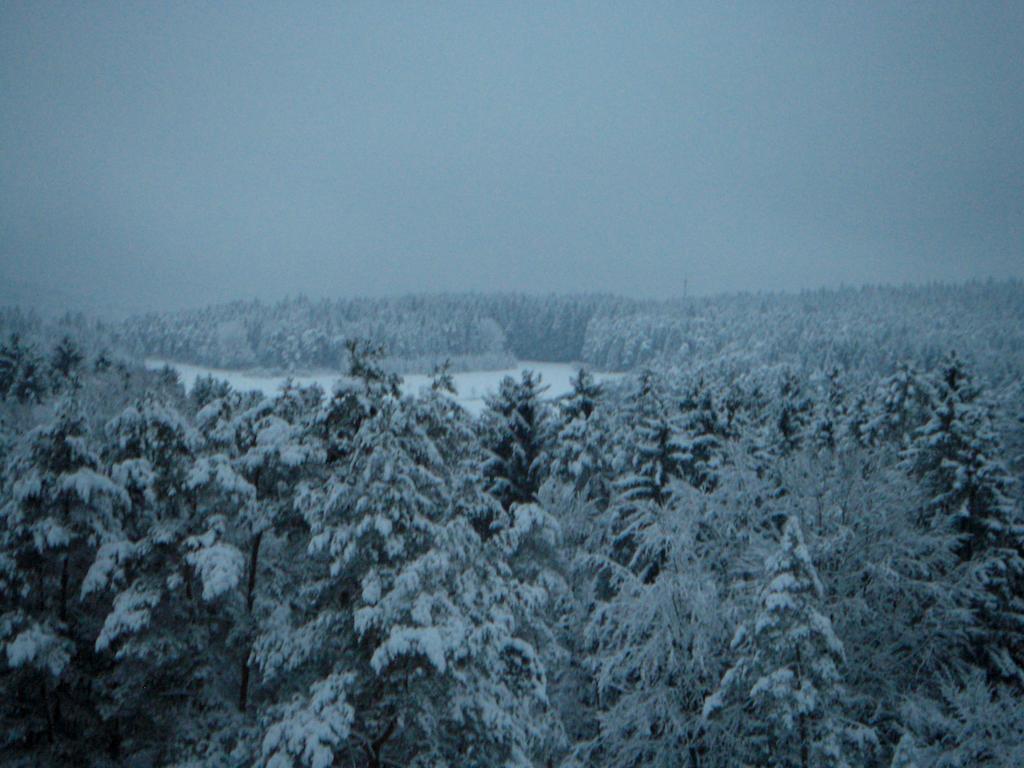 Gasthof Jaegerheim Birgland Exterior foto